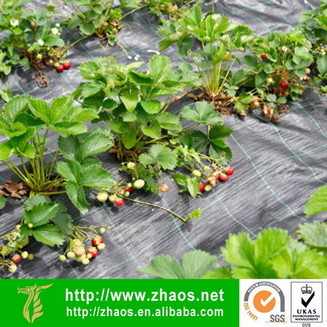 Fruit Cover Insect Protection Vegetables Winter Protection Frost Cover
