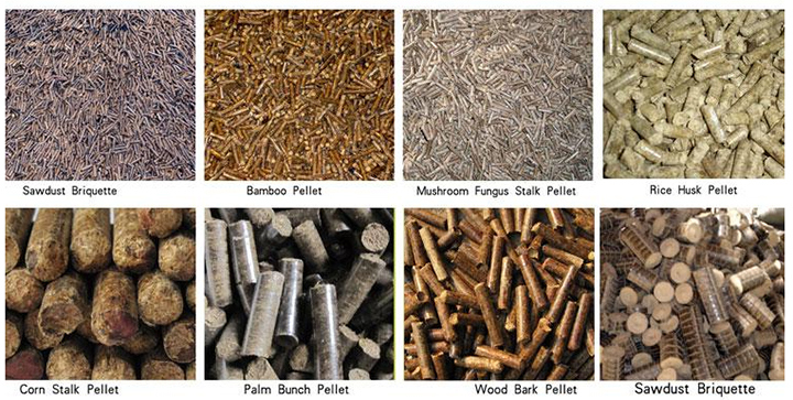 Biomass Energy Related Wood Pellet Machine in High Demand