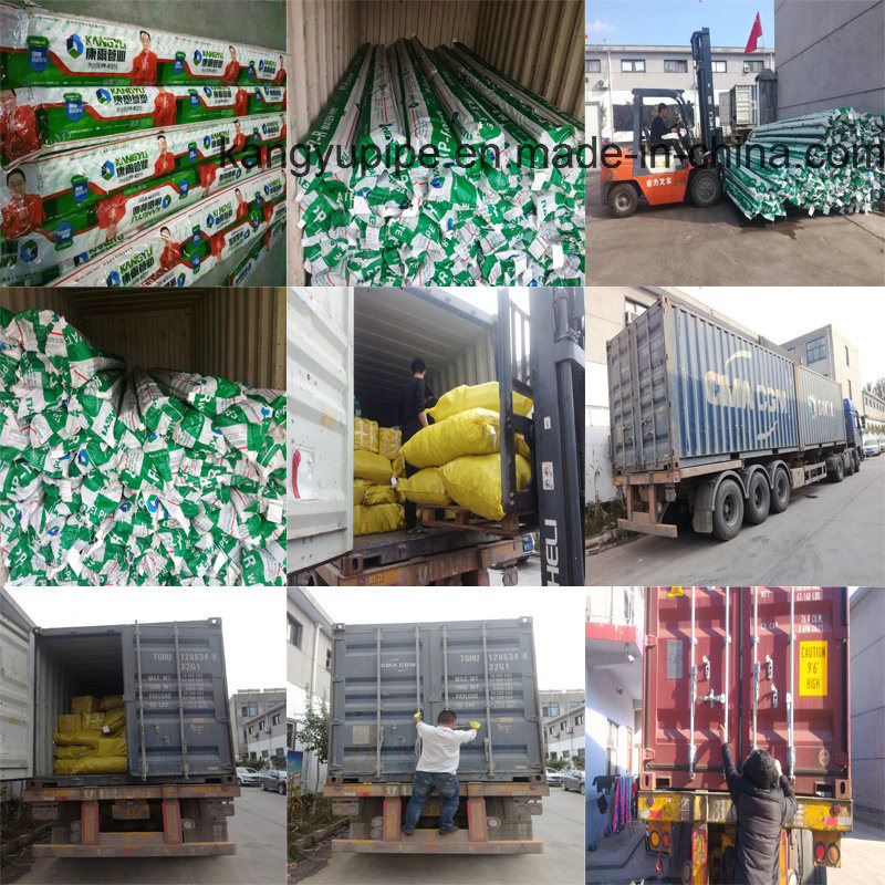 PPR Pipes 100% Pure Virgin Tube China Manufacturer