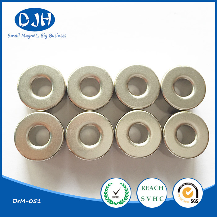 Rare Earth Sintered Permanent Ring NdFeB Magnet (DRM-051)
