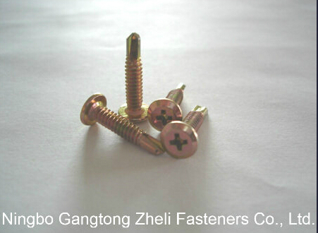 Socket Cap Self Tapping/ Drilling Screws with Carbon Steel