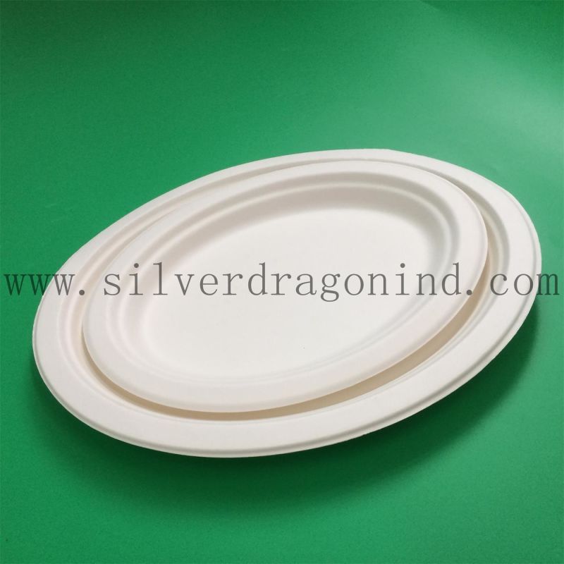 Biodegradable Sugarcane Pulp Paper Plate, Disposable Plate