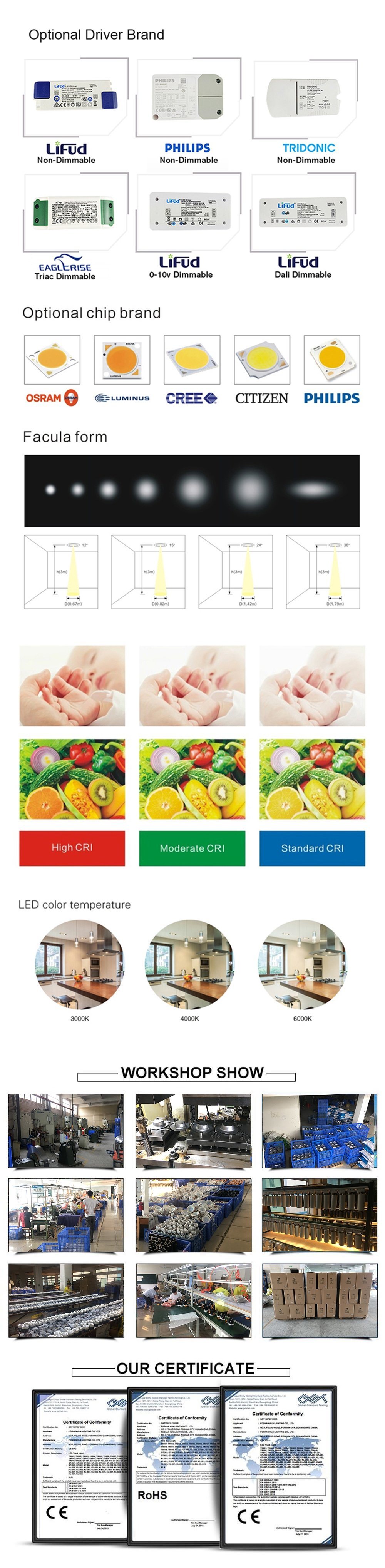 Anti-Glare LED COB Spotlight Recessed Adjustable Spot Light Lamp Foshan Manufacturer Ceiling Indoor Lighting Downlight
