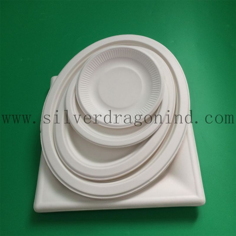 Biodegradable Sugarcane Pulp Paper Plate, Disposable Plate