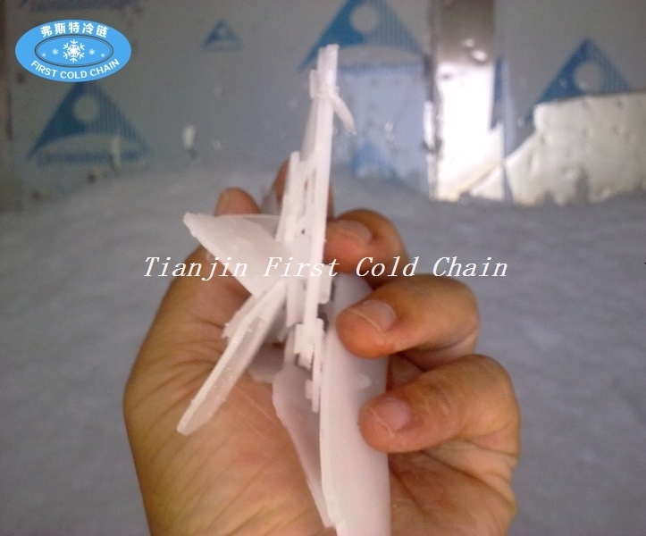 Widely Used Commercial Range Flake Ice Maker Machine for China