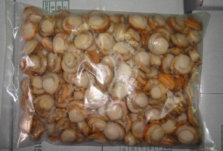 Frozen Boiled Cooked Whole Scallop