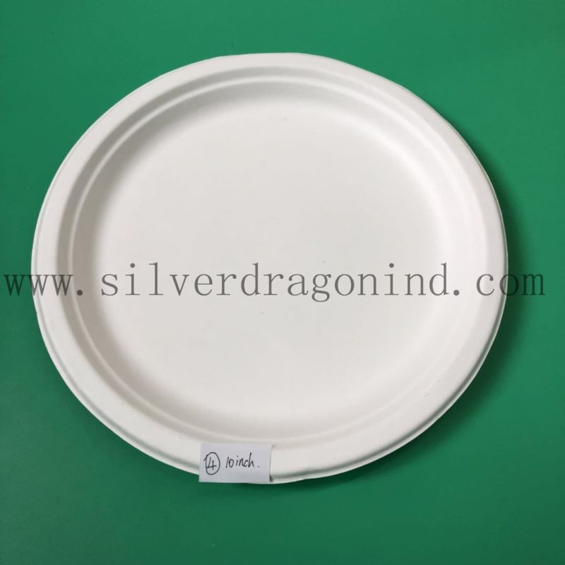 Sugarcane Pulp Material Disposable Paper Tray for Food Use