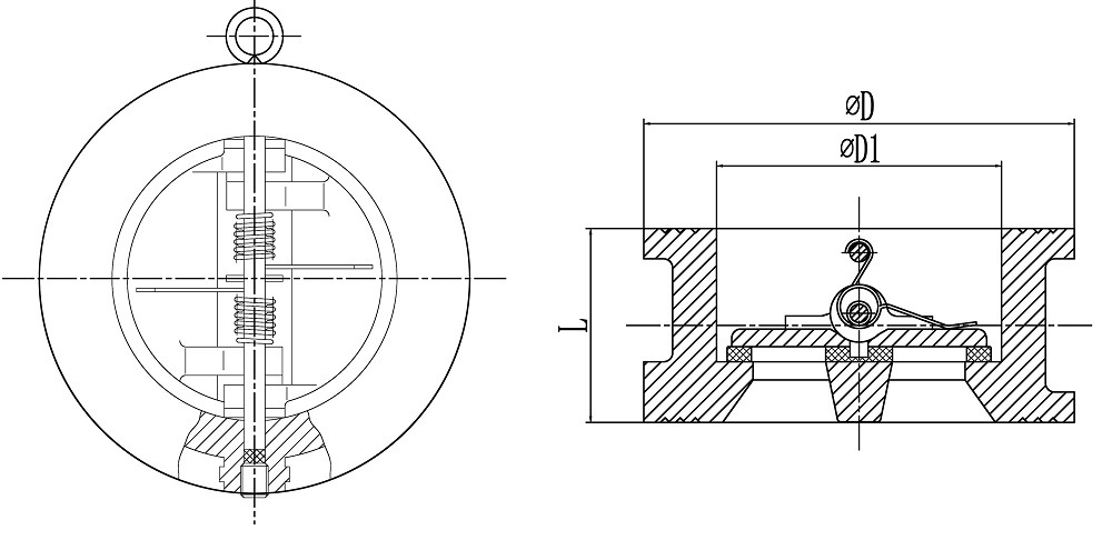 Pn16 Dn100 Ductile Iron Spring Loaded Dual Disc Wafer Check Valves