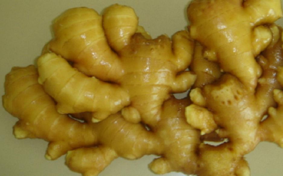 150g-300g Chinese Fresh Ginger Vegetables