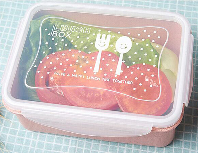 Wheat Straw Fiber Lunch Box Thermal Insulated Picnic Food Container