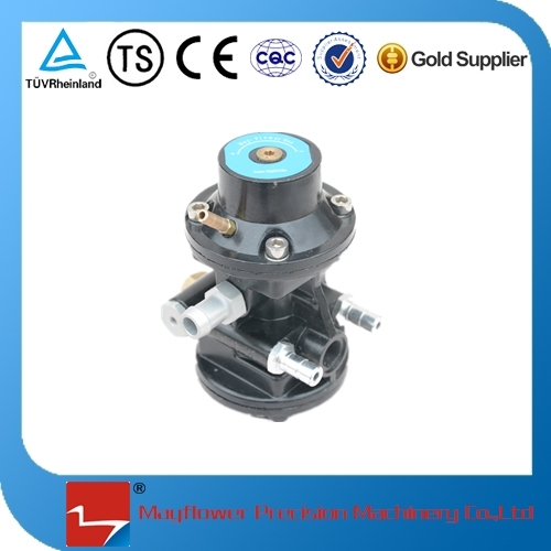 CNG Pressure Reducing Regulator for Gas Cylinder