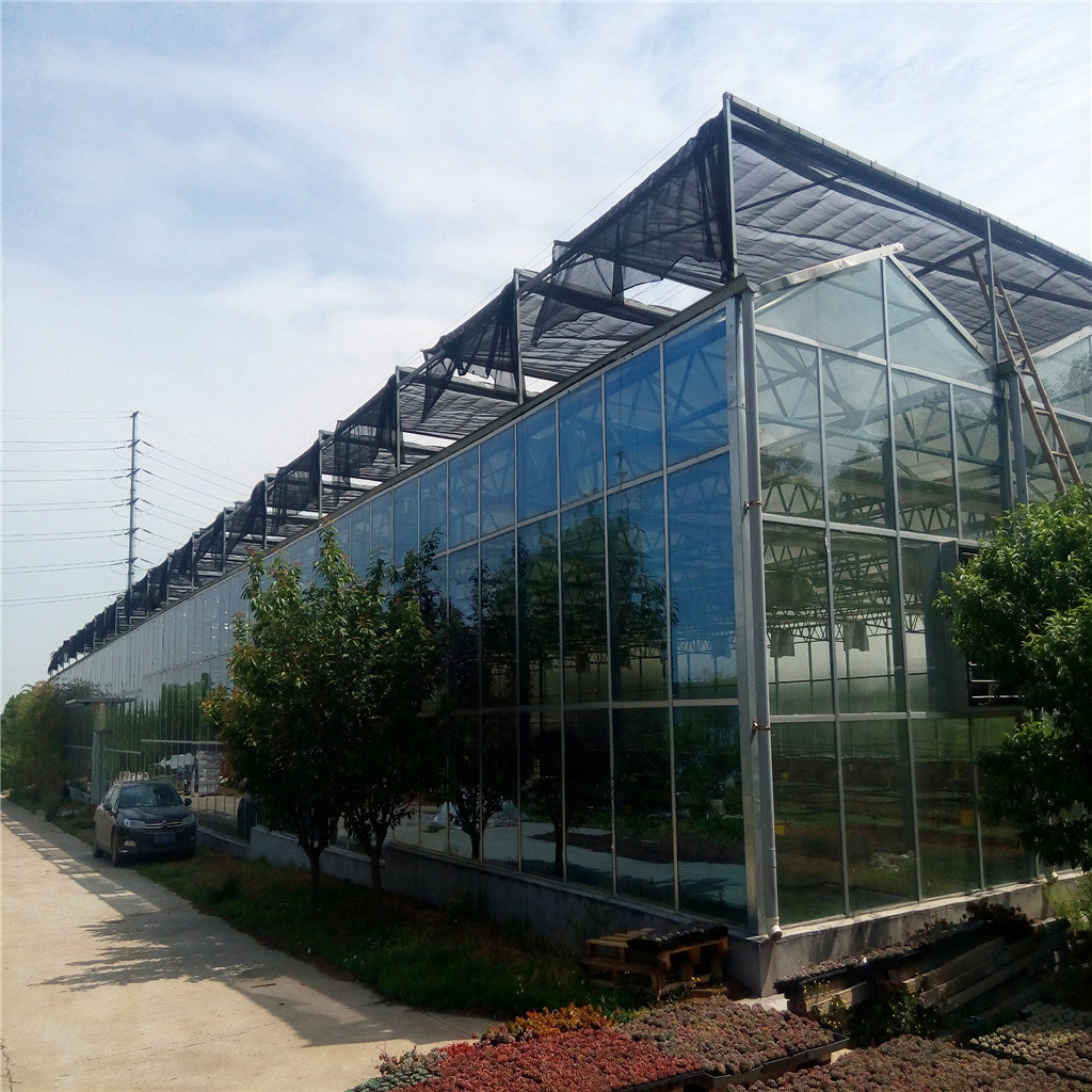 Traditional and Classic Large Multi-Span Glass Greenhouse Project for Ecological Agriculture Tourism and Entertainment