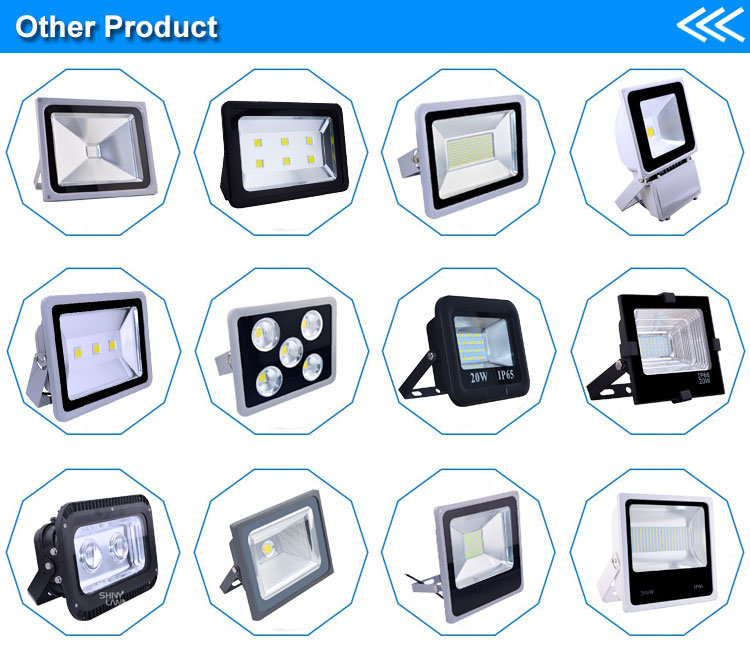 10W 20W 30W 50W 100W LED Floodlight Outdoor LED Flood Light