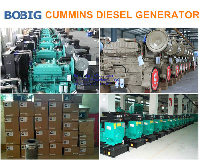 100kw Cummins Diesel Electric Generator Set for Industrial Use