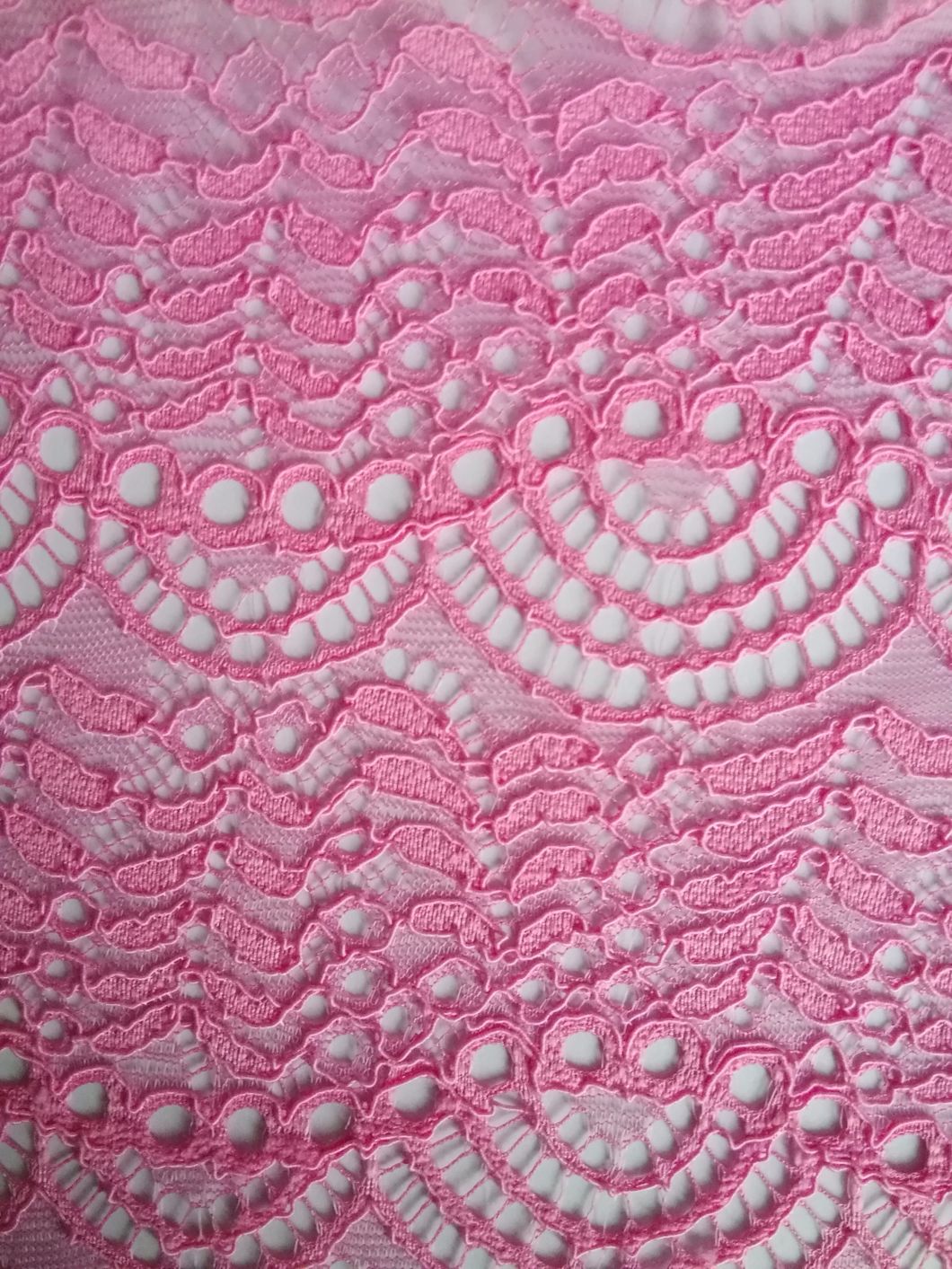 Hollow Texture Cotton Polyester Fashion Lace Fabric