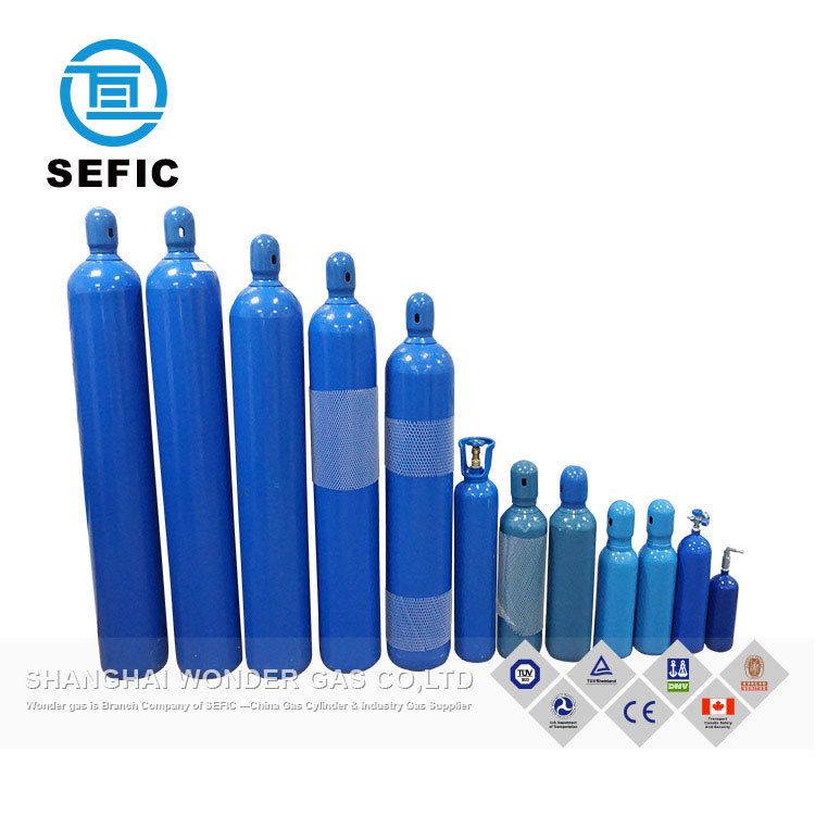 Compact Low Price Good Quality CO2 Gas Cylinder Sizes