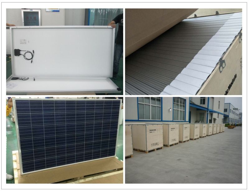 High Efficiency PV Poly 265W 24V Panel Solar
