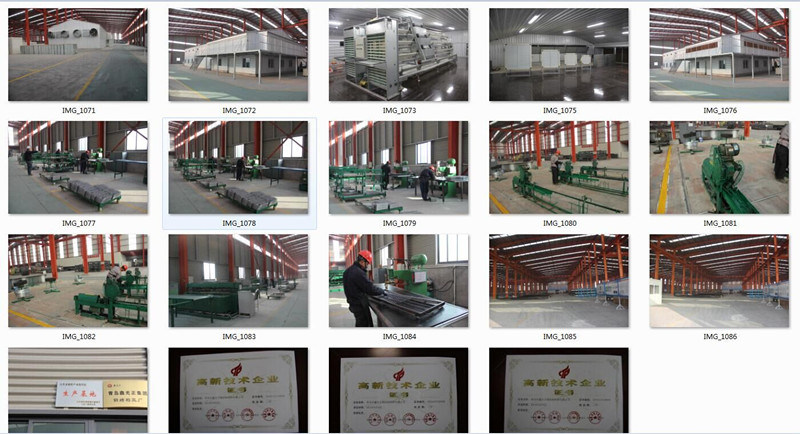 Steel Structure Chicken Broiler House & Equipment System