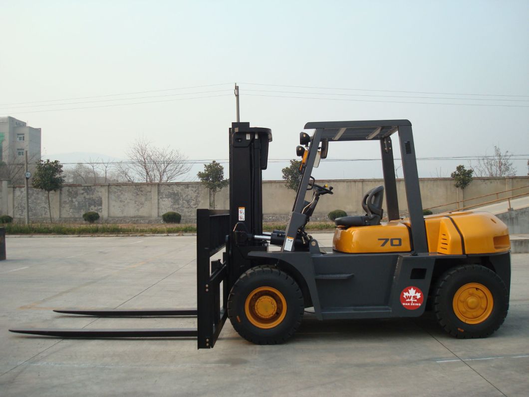 Ws Diesel Forklift 2-10 Ton Capacity