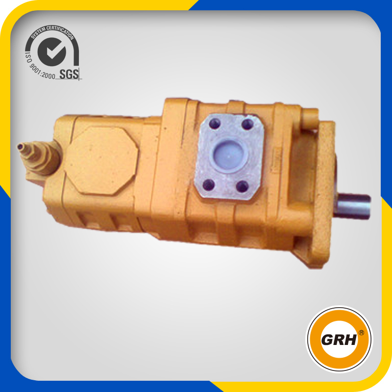 High-Pressure Hydraulic Gear Oil Pump Cbk1020-08alh Double Gear Pump