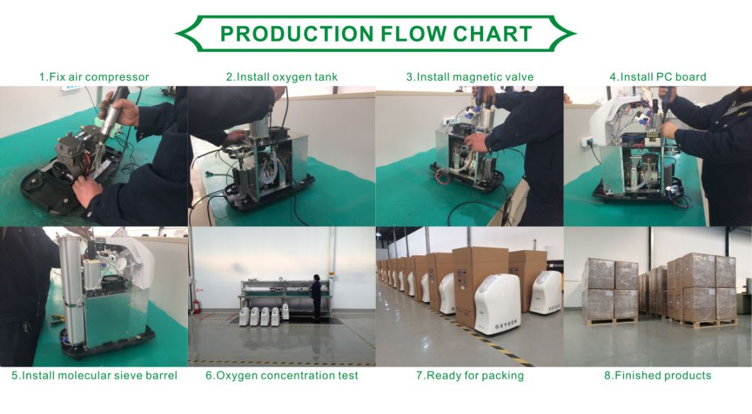 Medical Hight Flow Oxygen Concentrator with Anion Function