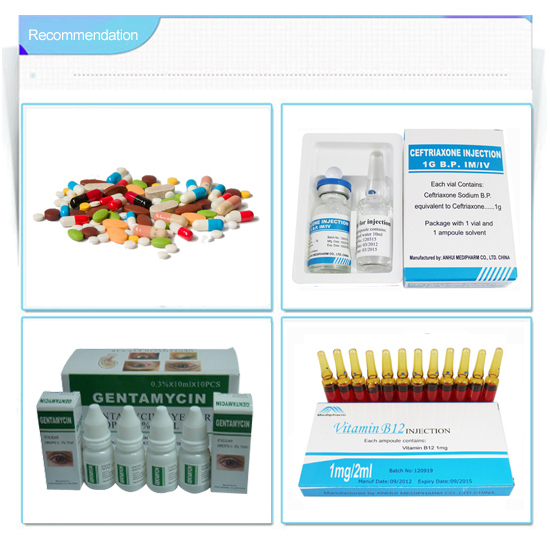 Gentamicin Sulphate Injection GMP Medicine