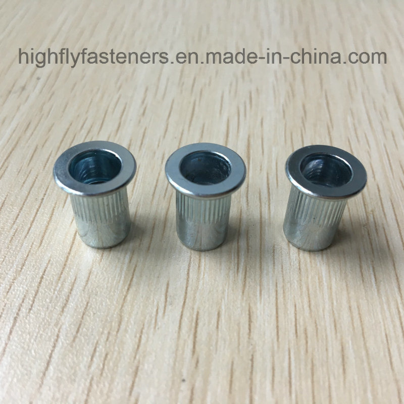 Blind Rivet Nut Galvanized