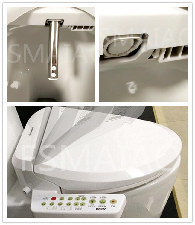 Automatic Intelligent Heated & Bidet Toilet Seat Sanitary Wares (V510)