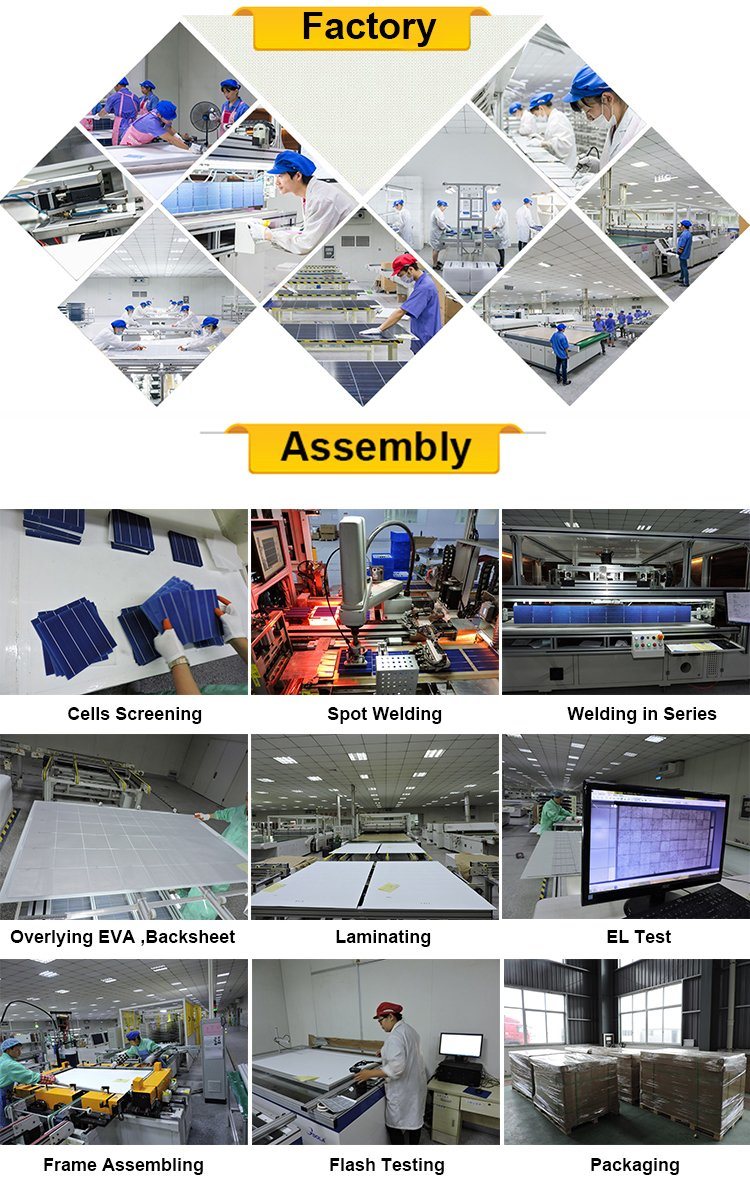 45W 50W 55W 60W Sun Precio Panel Solar Cell