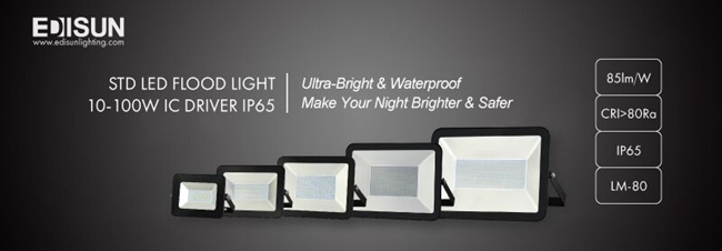 100W/50W Reflector LED Exterior Floodlight