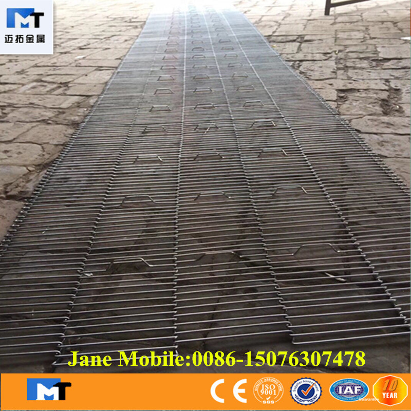 Stainless Steel Wire Mesh Belt Conveyor