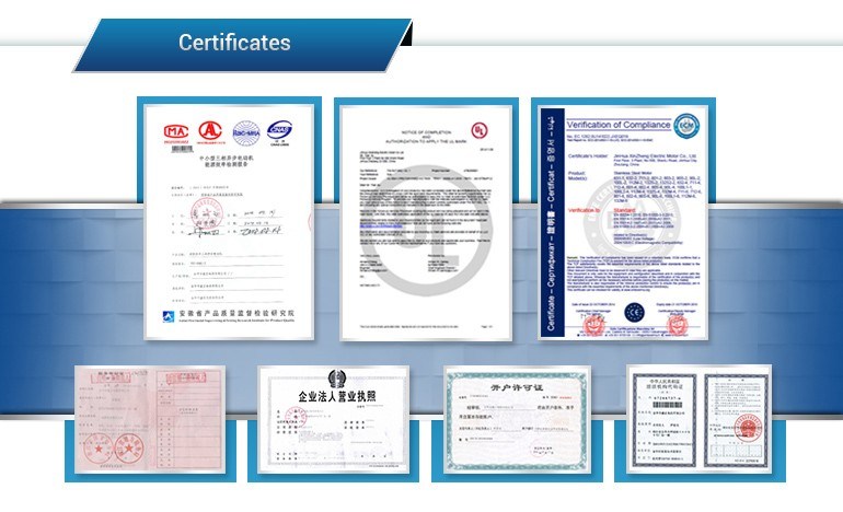 Three Phase AC Induction Motor, AC Induction Motor, Stainless Steel Motor