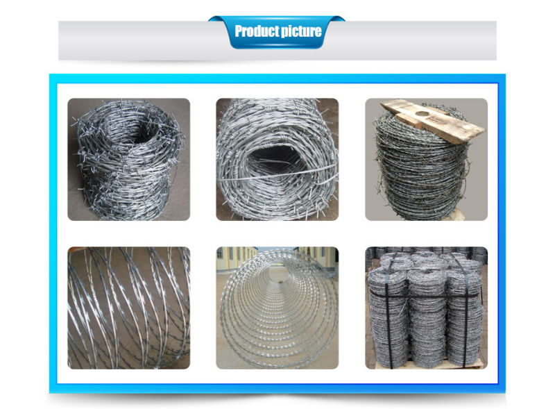 Low Price Concertina Razor Barbed Wire, PVC Coated or Galvanized Security Barbed Tape