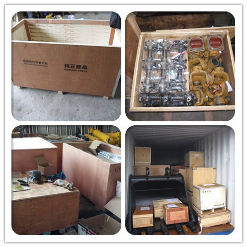 Changlin Construction Machinery Spare Parts W-18-00001 Check Valve