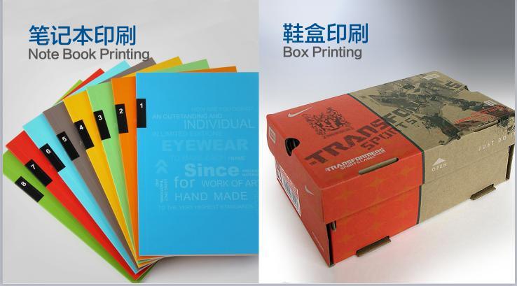 Paper Bag Flex Printer