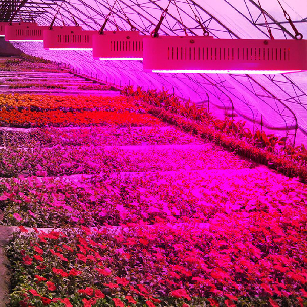 1000W Highbay Full Spectrum LED Grow Light for Greenhouse