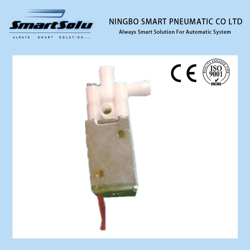 Smart High Quality Mini Solenoid Valve Wvr130d-24A