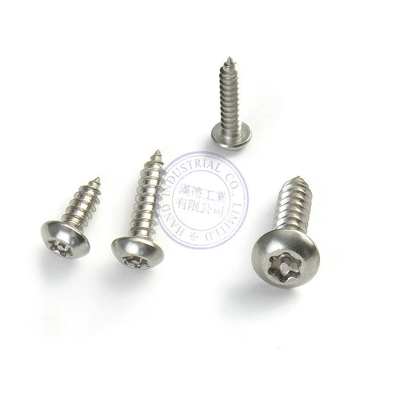 Stainless Steel Torx Tamper Proof Security Tapping Screw
