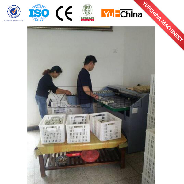 High Quality Egg Sorting Machine for Sale