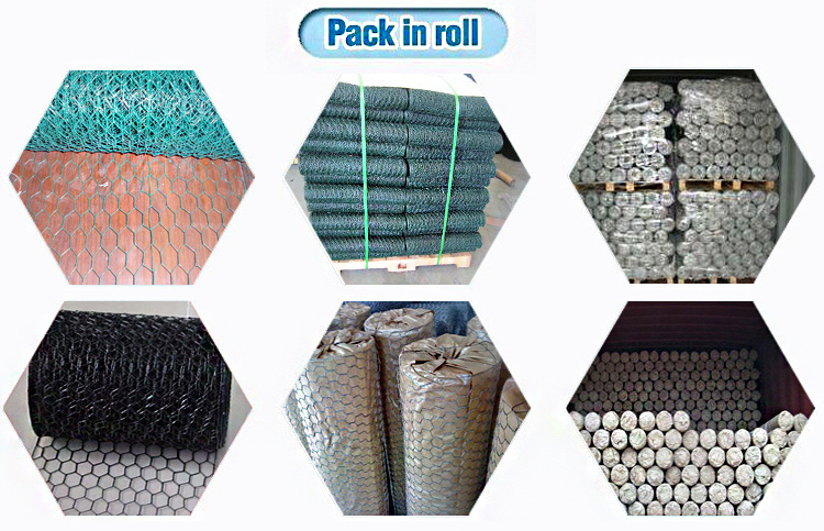 Hot Dipped Galvanized Lran Hexagonal Wire Mesh on Sale