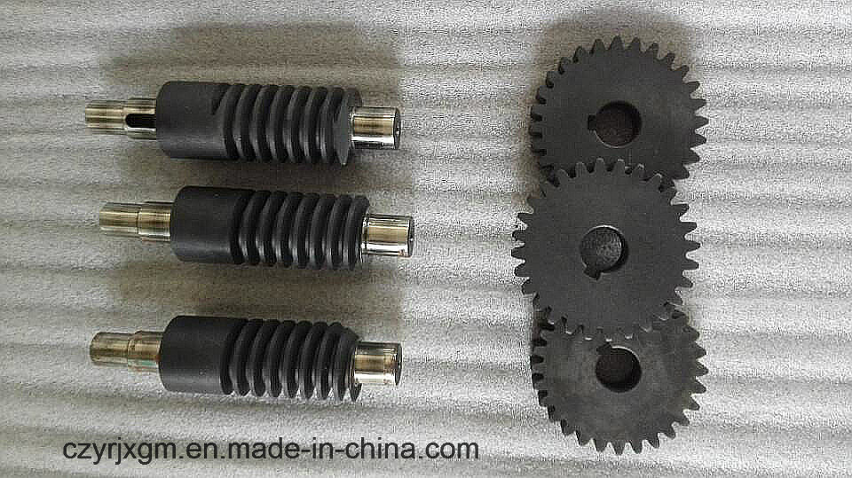 High Precision Carbon Steel Worm Gear/ Worm Wheel