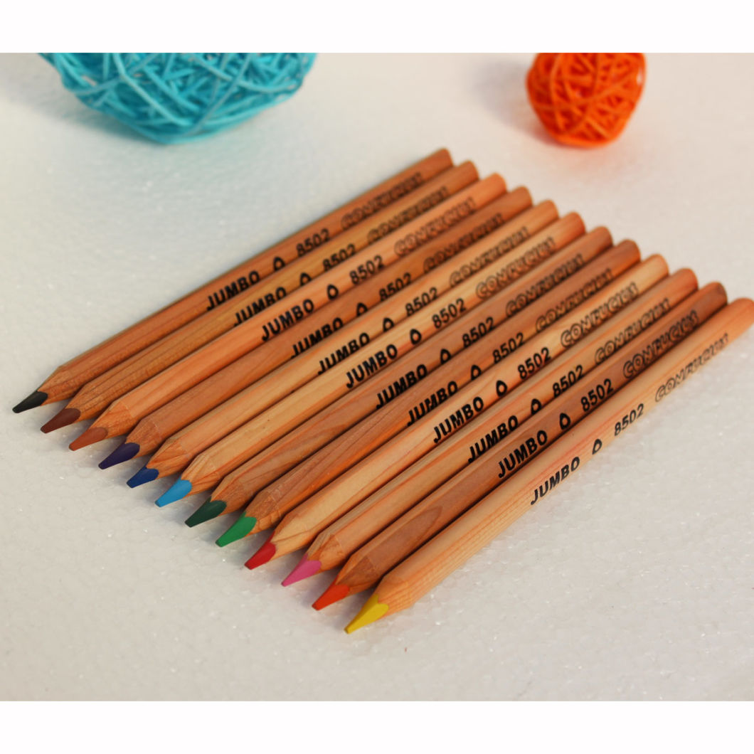 12 Color Jumbo Size Pencils in Paper Box