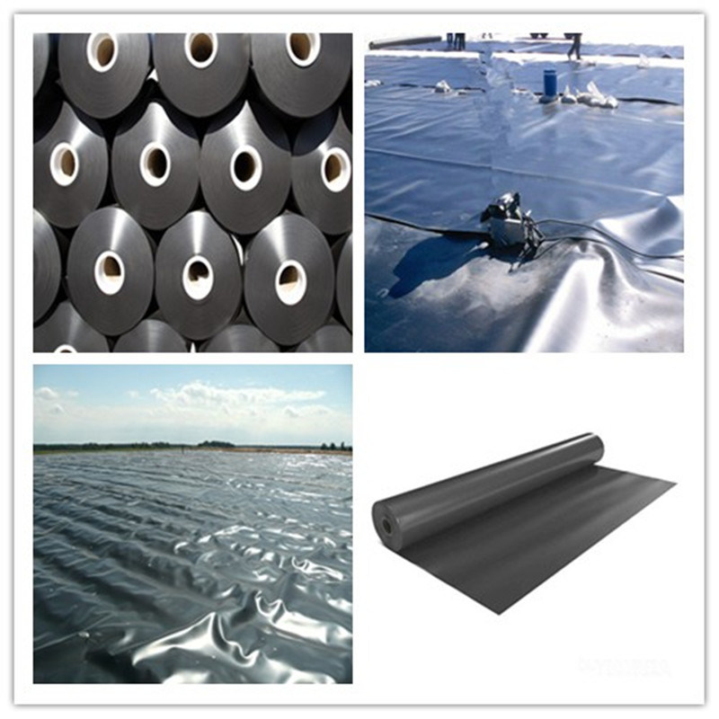 Good Quality Fish Pond Liner Geomembrane