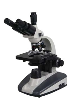 Nk-2105t Supplies 40X-1600X Doctor Veterinary Clinic Biological Compound Microscope