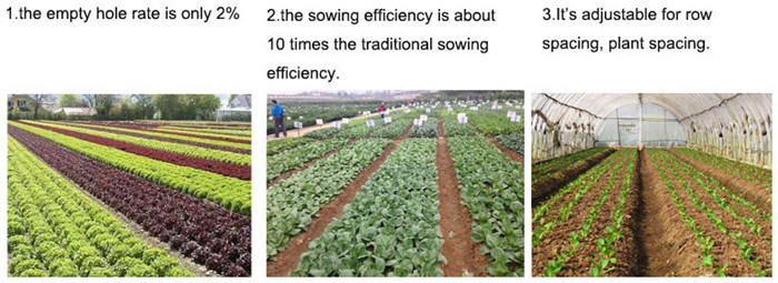 1 Row Manual Corn Seeder/Onion Seeder/Carrot Seed Planter/Vegetable Seeds Machine