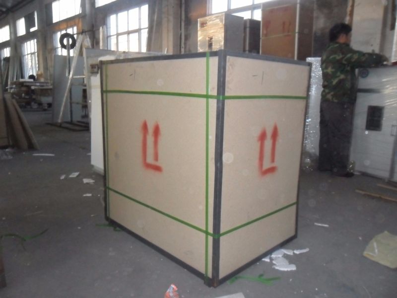 Energy-Saving Holding 5280 Chicken Eggs Incubators for Sale China