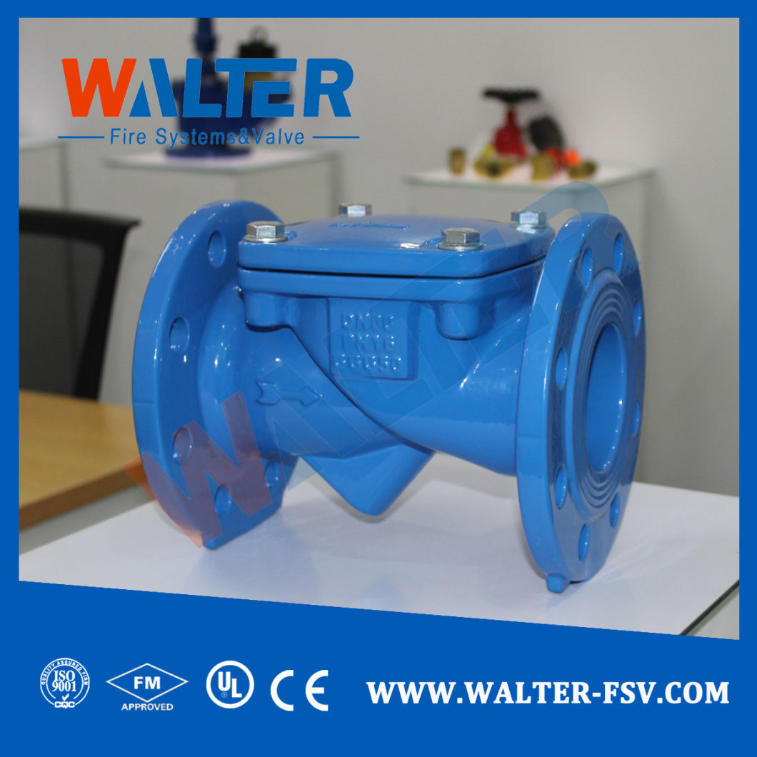 Cast Iron Flap Disc Check Valve