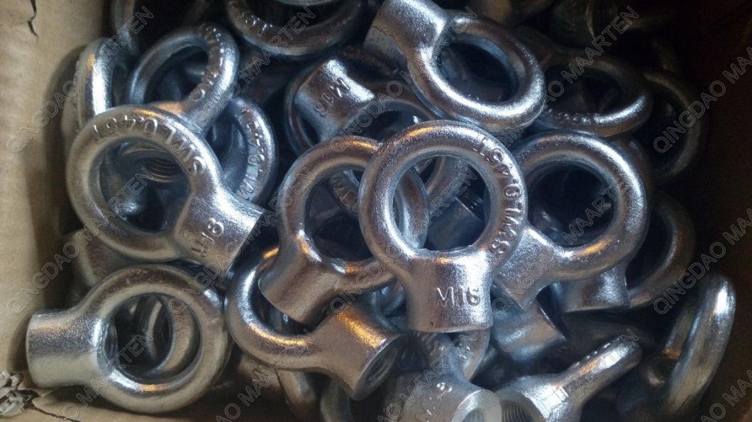 Stainless Steel DIN580 Forged Eye Bolt