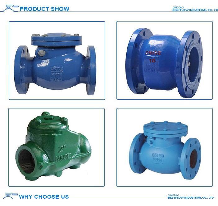 Ductile Iron Swing Check Valve for Water