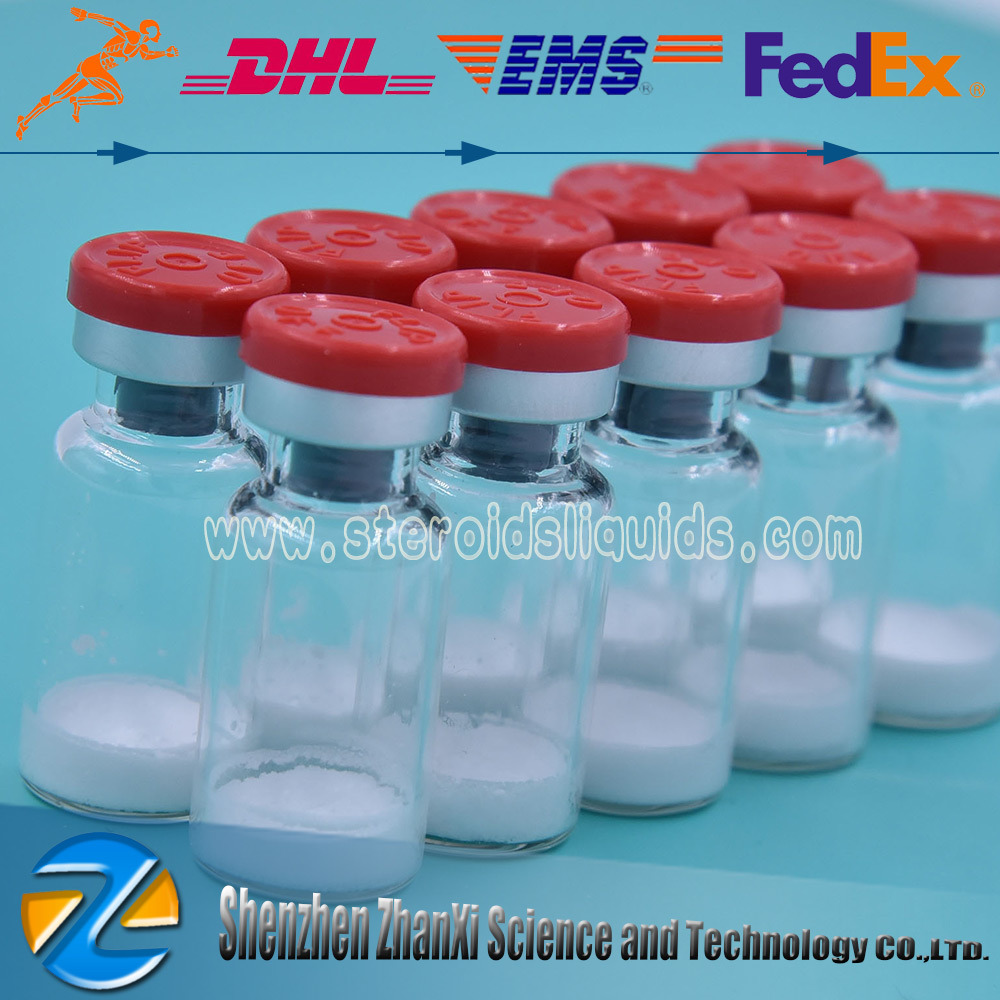 USP Lyophilized Peptide Follistatin 344 / Fst 344/ F344 for Muscle Bodybuilding